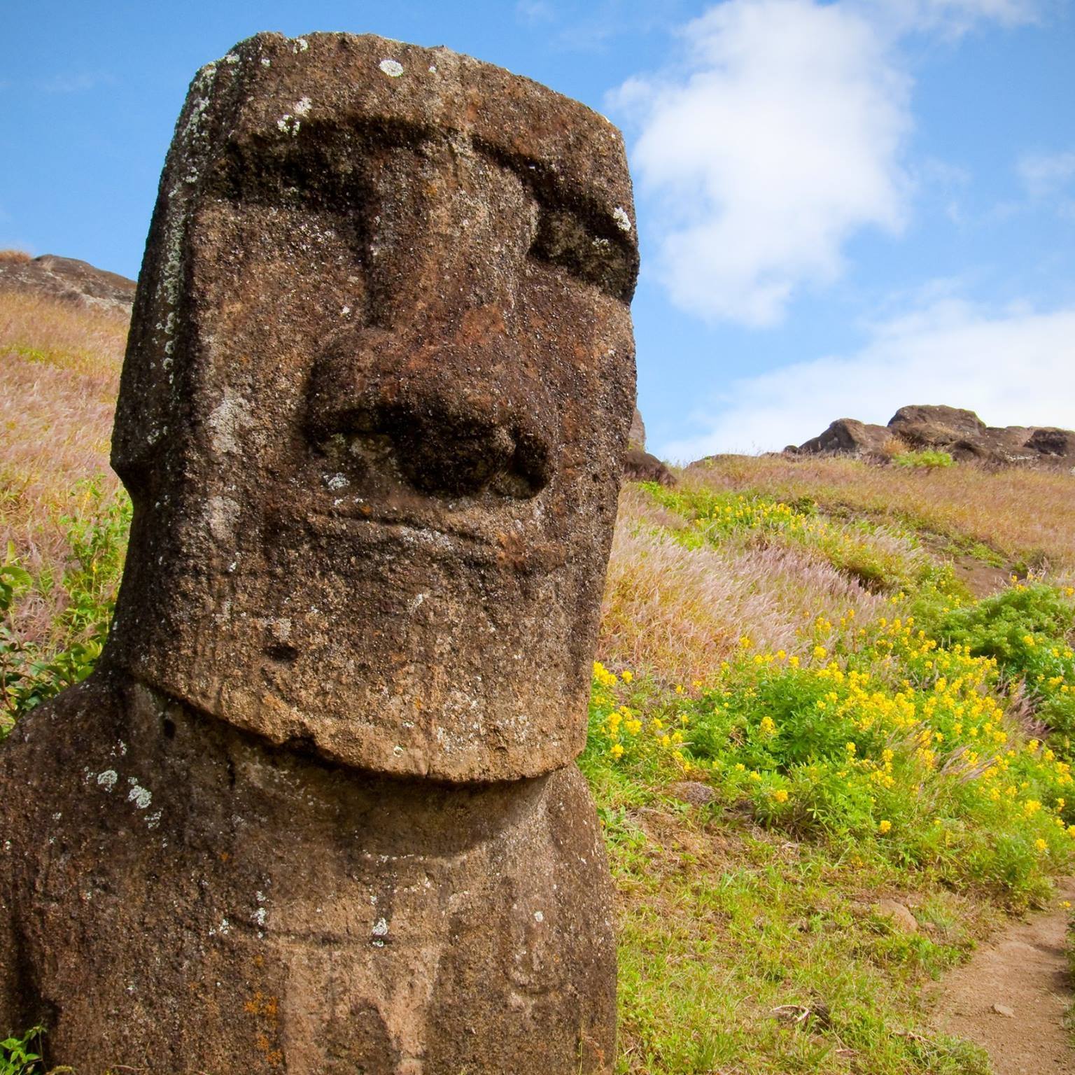アーティスト Mu ポートレート — シンガーソングライター、大分県日出町拠点